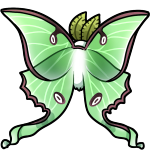 200x200px luna moth image